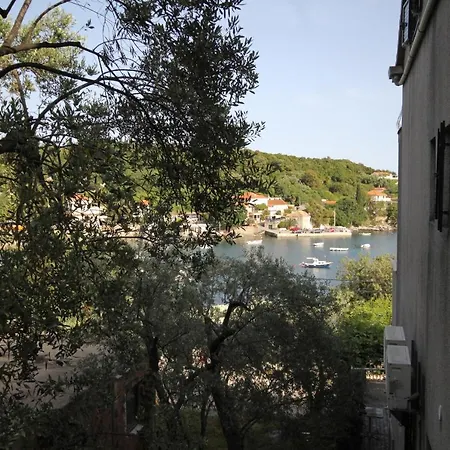 Seaside With A Swimming Pool Molunat, Dubrovnik - 3544