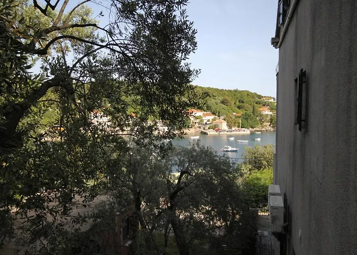 Seaside With A Swimming Pool Molunat, Dubrovnik - 3544